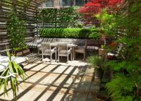 Beautiful outdoor space with bonsai, brilliant flowers
